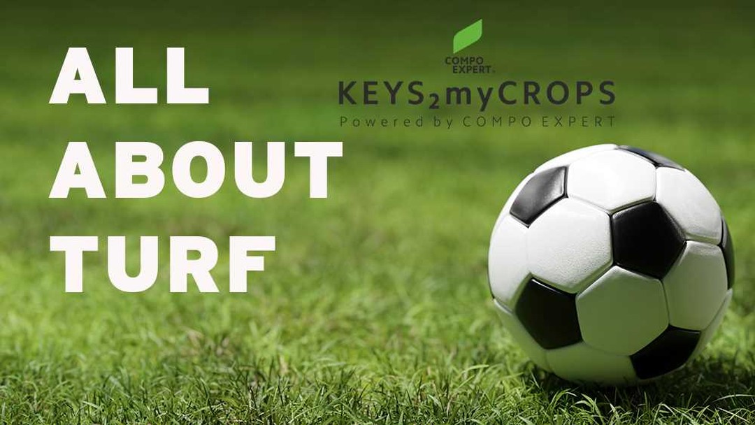 ALL ABOUT TURF series 
KEYS 2 MY CROPS TV( POWERED BY COMPO EXPERT) 
Episode 1. Α perfect turf is "Art or Science"?
https://www.youtube.com/watch?v=ffl-6a30a9E