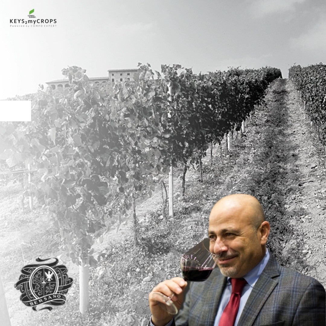 BERSANO Vigneti Srl. Quality wine starts in the vineyard. A success story from, Italy
- High quality wine is made in the winery
- High quality wine starts in the vineyard with high quality grapes. 
- Well fertilized vineyards lead to high quality grapes.
- NPK Original Gold® fertilizer (https://www.compo-expert.com/.../slow-release.../npk-gold) of COMPO EXPERT leads to high quality grapes.

This is the complete chain followed by Bersano Vigneti, a winery with exports in more than 25 countries/markets in its 200 Ha vineyards.

Watch what Filippo Mobrici, President of 
Bersano Vigneti (established in 1907 in Nizza Monferrato (Asti) – has to say about this topic by following this link -------------
K2MC CORPORATE TV - https://www.youtube.com/watch?v=sZ_vRqnT7FE
-------------