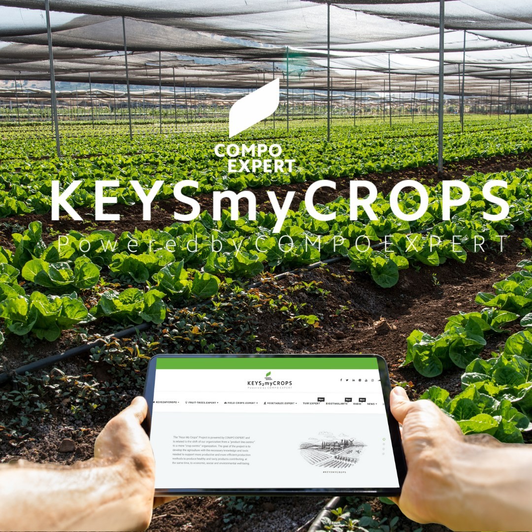 Our new website is on air. Have a look at www.KeysMyCrops.com
The goal of the “Keys2MyCrops” project is to share crop knowledge, to replicate success stories, to educate business associates, to apply best practices developing the agriculture of the future.

COMPO EXPERT, a GROUP of companies with a global presence, through the above program, is trying to “marry” agricultural knowledge and skills with the practical applications of farmers of different nationalities in a joint project to foster a more sustainable agriculture.

The team of specialized Experts who are deeply aware of critical crop points will play a significant role in transferring Know-how, helping COMPO EXPERT to be transformed in a crop-centric organization.

Today the Social Platforms (social media) play a significant role in connecting people. The creation of a multiplatform webplace (transitional website, Social media, Corporate TV and Corporate Radio) is a must and will be created and used form the team to diffuse the knowledge and the message of the project to the end users.
