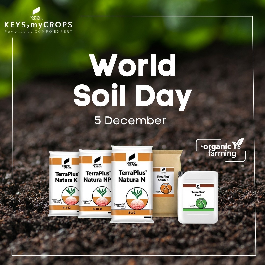 WORLD SOIL DAY - We all must to contribute to avoid Soil salinization threat to global food security
As it marks World Soil Day, the Food and Agriculture Organization of the United Nations (FAO) has highlighted the threat posed by soil salinization to global food security and warned that many countries still lack adequate capacity for soil analysis.
“Soil is the foundation of agriculture and the world’s farmers depend on soil to produce about 95% of the food we eat”, FAO Director-General QU Dongyu said. “Yet, our soils are at risk,” he stressed in remarks ahead of the December 5 event on the theme: “Halt Soil Salinization, Boost Soil Productivity”. 
The TerraPlus®family products of COMPO EXPERT contibute to the direction of the Regenerative Agriculture.