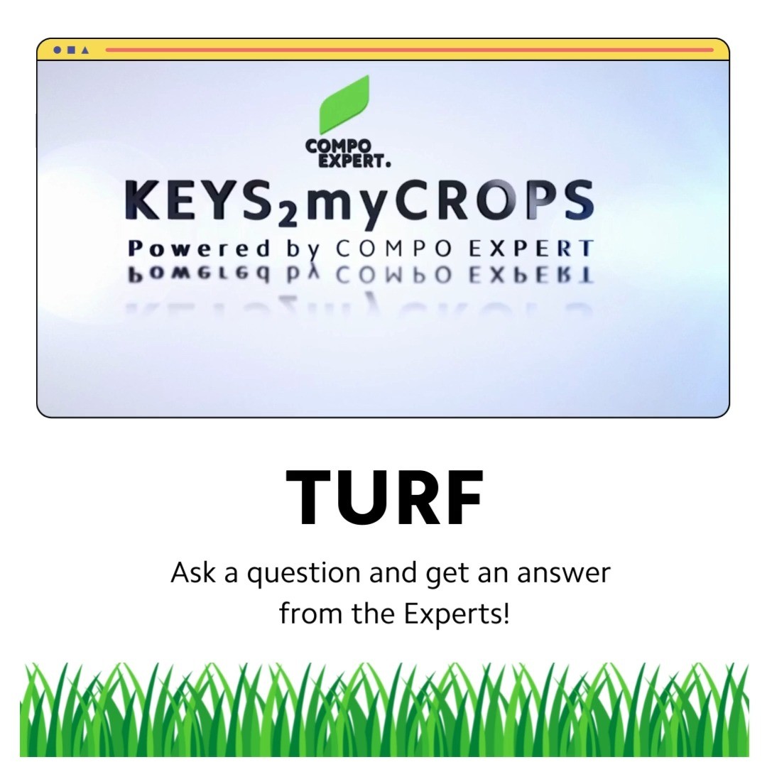 TURF: ASK A QUESTION AND GET AN ANSWER FROM THE EXPERTS!
Turf (Public Green, Sports, or Golf) is a versatile crop and due to the type and intensity of use requires a complex maintenance and fertilization program. 

Also, the concept of sustainability and integrated turf management has to be considered. The main focus of modern fertilization concepts is consistent regeneration growth and optimal support of physiological plant own processes which promote vitalization and stress tolerance as well as proper root development and ultimately the turf quality.

As one of the leading turf fertilizer manufacturers, COMPO EXPERT offers an extensive portfolio of special fertilizers, biostimulants, soil enhancers, and seeds for professional sports turf maintenance, public green areas, and landscapes

At Keys2MyCrops from this week and every Friday at 11.00 CET we launch a new educational series based on critical questions about the successful Turf management. The EXPERTS of COMPO EXPERT every Friday will provide a detailed answer to your questions.

Feel free to send us your questions at contact@keysmycrops.com